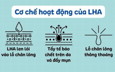 LHA LALA PEEL là gì_4