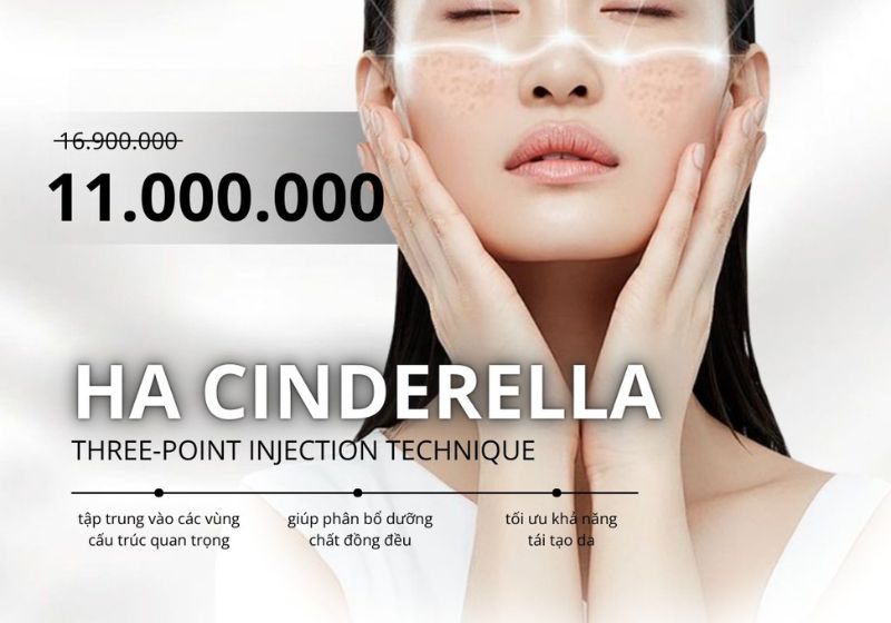 cinderella-teoxane-3