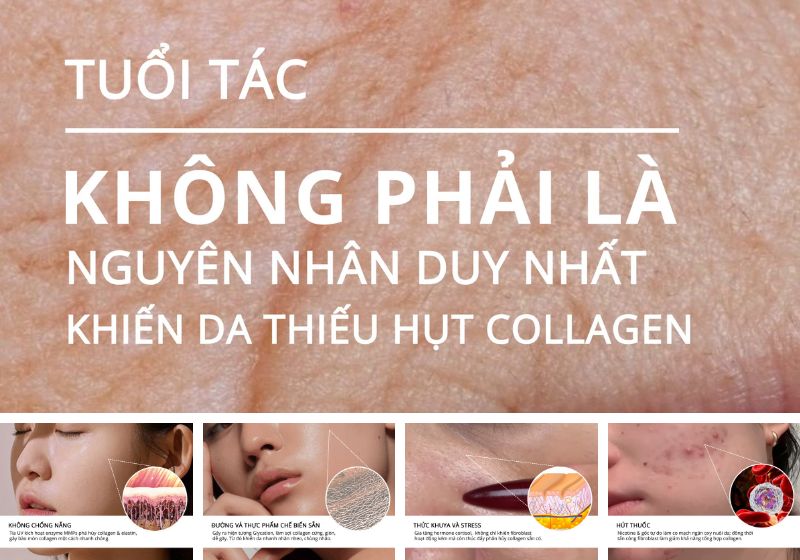 Lão hóa không chỉ do tuổi tác đã khiến các phương pháp trẻ hóa da tầng sâu không xâm lấn trở thành lựa chọn tất yếu
