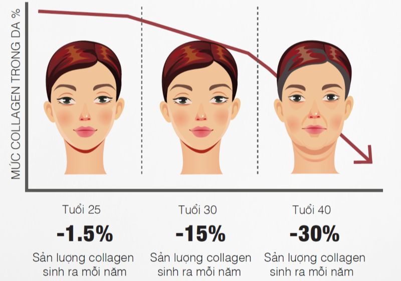 Từ tuổi 25 trở đi, collagen trong da bắt đầu suy giảm tự nhiên, đây là nguyên nhân khiến làn da mất dần độ căng mịn và tươi trẻ